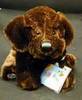 my webkin dog