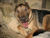 Loui yawning