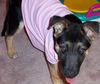 Loui dresses up