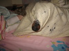 Ajax hiding