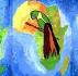 In Africa - The 5 Continents - Pictures