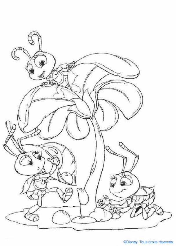 a bugs life coloring pages disney - photo #6