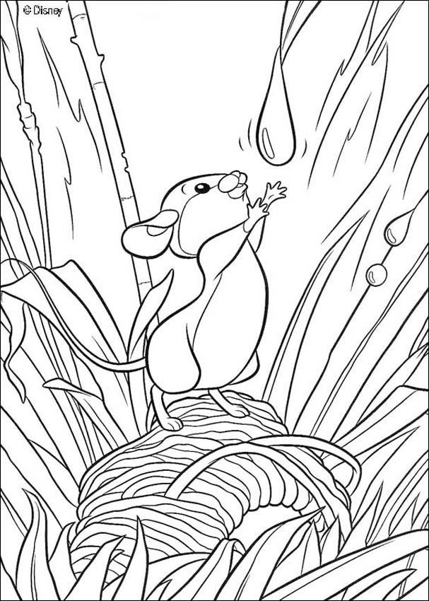 bambi's friends 5 coloring pages  hellokids