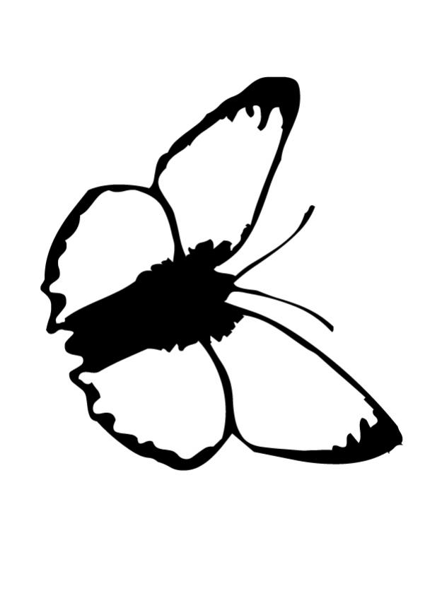 Black and white butterfly coloring pages - Hellokids.com