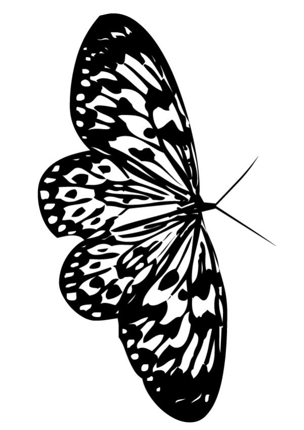 Beautiful butterfly coloring pages - Hellokids.com
