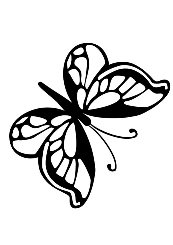 Small butterfly coloring pages   Hellokids.com