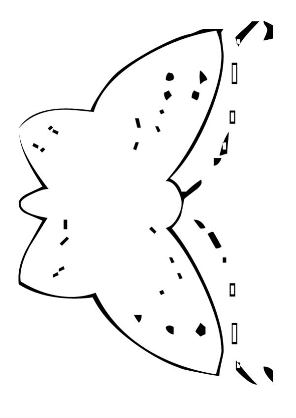 butterfly-19
