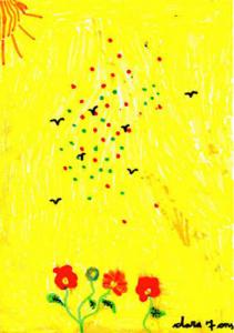 fleurs-d-ete