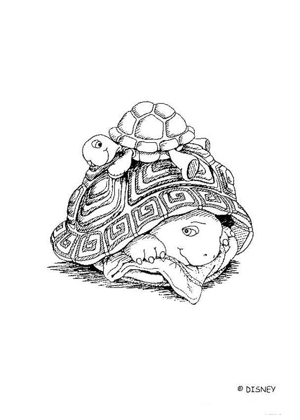 Harriet with mrs elisabeth turtle coloring pages 