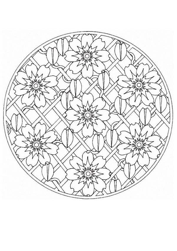 mandala-n-66