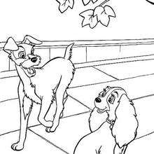Lady and the Tramp coloring book pages - 28 free Disney printables for