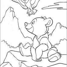 Brother Bear Coloring Book Pages 44 Free Disney Printables 40