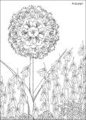 Kirikou 29 - Coloring - Famous character coloring pages - Kirikou coloring book pages
