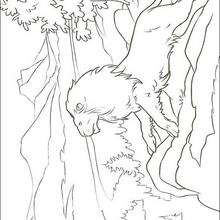 The lion Aslan - Coloring - MOVIE coloring pages - THE CHRONICLES OF NARNIA coloring book pages
