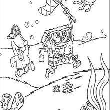 Sponge Bob catching a jellyfish - Coloring page - CHARACTERS coloring pages - TV SERIES CHARACTERS coloring pages - SPONGE BOB coloring book pages - SPONGE BOB to color