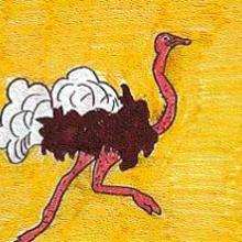 Ostrich - Drawing for kids - KIDS drawings - ANIMAL drawings for kids - BIRD drawings