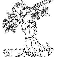 Birds and puppy coloring page