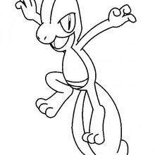 Treecko - Coloring page - MANGA coloring pages - POKEMON coloring pages - GRASS POKEMON coloring pages