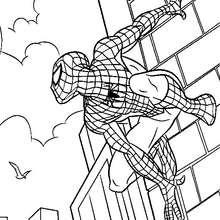 Spiderman scales walls coloring page