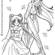 Autumn leafs - Coloring page - MANGA coloring pages - SAILOR MOON coloring pages