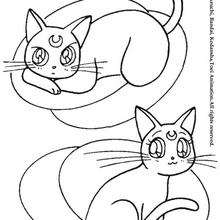 Cats: Artemis and diana - Coloring page - MANGA coloring pages - SAILOR MOON coloring pages