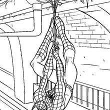Spiderman's webs coloring page