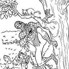 Spiderman saving a cat - Coloring page - SUPER HEROES Coloring Pages - SPIDERMAN coloring pages