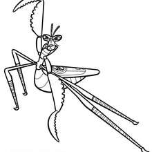 Mantis ready to fight coloring page - Coloring page - MOVIE coloring pages - KUNG FU PANDA coloring pages - Master Mantis coloring pages