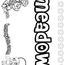 Meadow - Coloring page - NAME coloring pages - GIRLS NAME coloring pages - M names for girls coloring posters