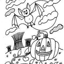 Halloween pumpkin and bat - Coloring page - HOLIDAY coloring pages - HALLOWEEN coloring pages - HALLOWEEN PUMPKIN coloring pages
