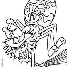 Halloween Spider with a broom - Coloring page - HOLIDAY coloring pages - HALLOWEEN coloring pages - HALLOWEEN SPIDER coloring pages