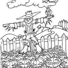 Halloween Scarecrow - Coloring page - HOLIDAY coloring pages - HALLOWEEN coloring pages - HALLOWEEN PUMPKIN coloring pages