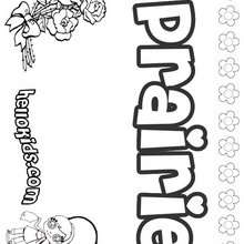 Prairie - Coloring page - NAME coloring pages - GIRLS NAME coloring pages - O, P, Q names fo girls posters