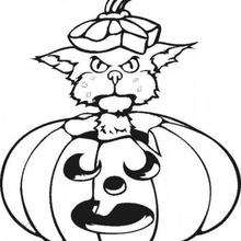 Cat playing with a halloween pumpkin - Coloring page - HOLIDAY coloring pages - HALLOWEEN coloring pages - HALLOWEEN PUMPKIN coloring pages