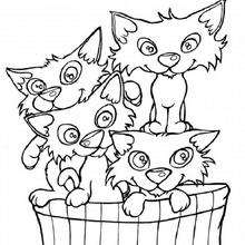 Cat's basket - Coloring page - ANIMAL coloring pages - PET coloring pages - CAT coloring pages - KITTEN coloring pages