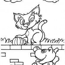 Cat on the wall coloring page - Coloring page - ANIMAL coloring pages - PET coloring pages - CAT coloring pages - CATS coloring pages