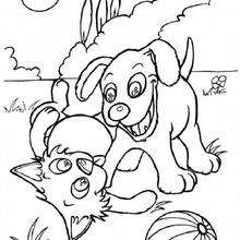 Dog and cat with ball - Coloring page - ANIMAL coloring pages - PET coloring pages - DOG coloring pages - DOG to color in