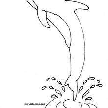 Dolphin coloring page - Coloring page - ANIMAL coloring pages - SEA ANIMALS coloring pages - DOLPHIN coloring pages