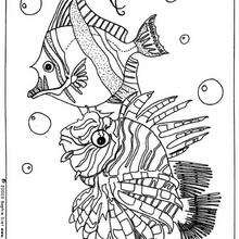 Tropical Fishes coloring page