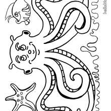 Octopus and fish coloring page - Coloring page - ANIMAL coloring pages - SEA ANIMALS coloring pages - OCTOPUS coloring pages