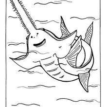 Sawfish coloring page - Coloring page - ANIMAL coloring pages - SEA ANIMALS coloring pages - SAWFISH coloring pages