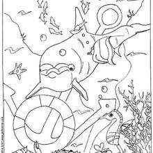 Dolphin in the sea coloring page - Coloring page - ANIMAL coloring pages - SEA ANIMALS coloring pages - DOLPHIN coloring pages