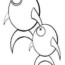 Two fishes coloring page - Coloring page - ANIMAL coloring pages - SEA ANIMALS coloring pages - FISH coloring pages