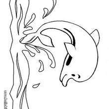 Cute dolphin coloring page