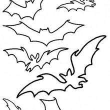 Camp of flying black bats coloring page