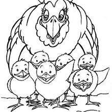 Hen and Chicks coloring page - Coloring page - ANIMAL coloring pages - FARM ANIMAL coloring pages - HEN coloring pages
