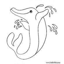 Funny dolphin coloring page