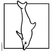 Dolphin outlines coloring page