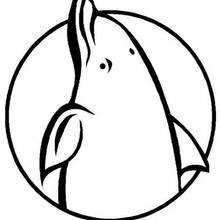 Dolphin portrait coloring page