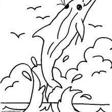 Dolphin is jumping out of the sea coloring page